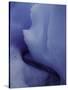 Glacier, Chile-Michael Brown-Stretched Canvas