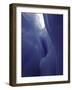 Glacier, Chile-Michael Brown-Framed Photographic Print