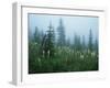 Glacier D-Gordon Semmens-Framed Photographic Print