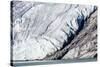 Glacier Detail in Icy Arm, Baffin Island, Nunavut, Canada, North America-Michael Nolan-Stretched Canvas