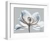 Glacier Dipped Magnolia 1-Albert Koetsier-Framed Art Print