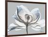 Glacier Dipped Magnolia 1-Albert Koetsier-Framed Art Print