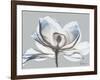 Glacier Dipped Magnolia 1-Albert Koetsier-Framed Art Print