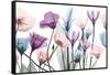 Glacier Floral Breeze 1-Albert Koetsier-Framed Stretched Canvas