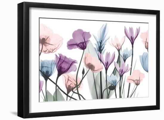 Glacier Floral Breeze 1-Albert Koetsier-Framed Art Print