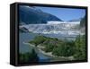 Glacier Flowing from the Juneau Icefield to the Proglacial Lake, Alaska, USA-Waltham Tony-Framed Stretched Canvas