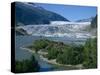 Glacier Flowing from the Juneau Icefield to the Proglacial Lake, Alaska, USA-Waltham Tony-Stretched Canvas