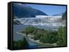 Glacier Flowing from the Juneau Icefield to the Proglacial Lake, Alaska, USA-Waltham Tony-Framed Stretched Canvas