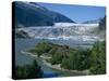 Glacier Flowing from the Juneau Icefield to the Proglacial Lake, Alaska, USA-Waltham Tony-Stretched Canvas