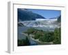 Glacier Flowing from the Juneau Icefield to the Proglacial Lake, Alaska, USA-Waltham Tony-Framed Photographic Print