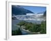 Glacier Flowing from the Juneau Icefield to the Proglacial Lake, Alaska, USA-Waltham Tony-Framed Photographic Print