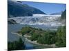 Glacier Flowing from the Juneau Icefield to the Proglacial Lake, Alaska, USA-Waltham Tony-Mounted Photographic Print