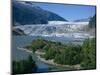 Glacier Flowing from the Juneau Icefield to the Proglacial Lake, Alaska, USA-Waltham Tony-Mounted Photographic Print