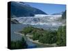 Glacier Flowing from the Juneau Icefield to the Proglacial Lake, Alaska, USA-Waltham Tony-Stretched Canvas