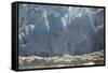 Glacier Grey. Torres Del Paine NP. Chile. UNESCO Biosphere-Tom Norring-Framed Stretched Canvas