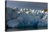 Glacier Grey. Torres Del Paine NP. Chile. UNESCO Biosphere-Tom Norring-Stretched Canvas