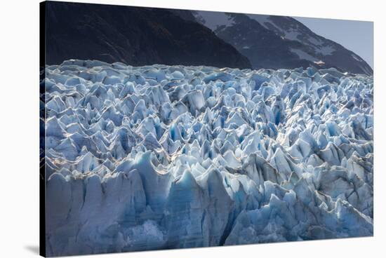 Glacier Grey. Torres Del Paine NP. Chile. UNESCO Biosphere-Tom Norring-Stretched Canvas