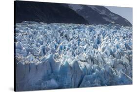 Glacier Grey. Torres Del Paine NP. Chile. UNESCO Biosphere-Tom Norring-Stretched Canvas