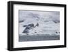Glacier hanging on the rocks of Coronation Island, South Orkney Islands, Antarctica, Polar Regions-Michael Runkel-Framed Photographic Print