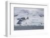 Glacier hanging on the rocks of Coronation Island, South Orkney Islands, Antarctica, Polar Regions-Michael Runkel-Framed Photographic Print