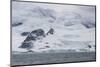 Glacier hanging on the rocks of Coronation Island, South Orkney Islands, Antarctica, Polar Regions-Michael Runkel-Mounted Photographic Print