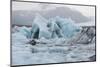 Glacier Lagoon, Iceland-Rick Daley-Mounted Photographic Print