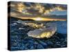 Glacier Lagoon, Jokulsarlon, Iceland-demerzel21-Stretched Canvas