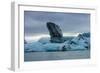 Glacier Lagoon Jškulsarlon-Catharina Lux-Framed Photographic Print