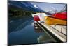 Glacier, Montana: Colorful Canoes Line the Dock at Many Glacier Lodge on Swiftcurrent Lake-Brad Beck-Mounted Photographic Print