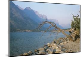 Glacier National Park 13-Gordon Semmens-Mounted Photographic Print