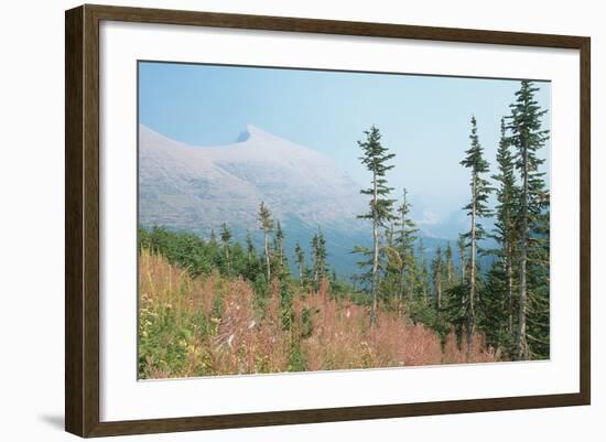 Glacier National Park 17-Gordon Semmens-Framed Photographic Print