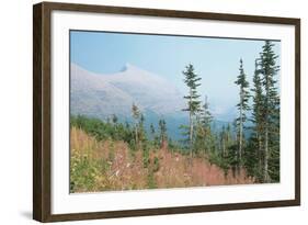 Glacier National Park 17-Gordon Semmens-Framed Photographic Print