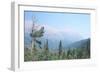 Glacier National Park 19-Gordon Semmens-Framed Photographic Print