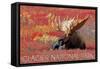 Glacier National Park - Bull Moose and Red Flowers-Lantern Press-Framed Stretched Canvas