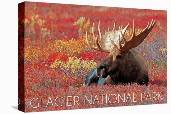Glacier National Park - Bull Moose and Red Flowers-Lantern Press-Stretched Canvas