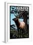 Glacier National Park - Elk - Scratchboard-Lantern Press-Framed Art Print