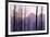 Glacier National Park Forest-Jason Savage-Framed Art Print