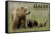 Glacier National Park - Grizzly Bear and Cubs-Lantern Press-Framed Stretched Canvas