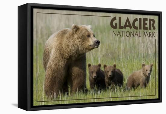 Glacier National Park - Grizzly Bear and Cubs-Lantern Press-Framed Stretched Canvas