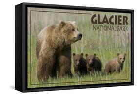 Glacier National Park - Grizzly Bear and Cubs-Lantern Press-Framed Stretched Canvas