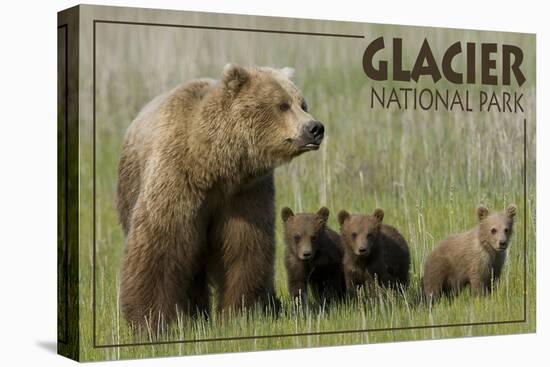 Glacier National Park - Grizzly Bear and Cubs-Lantern Press-Stretched Canvas