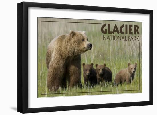 Glacier National Park - Grizzly Bear and Cubs-Lantern Press-Framed Art Print