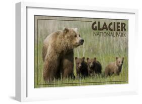 Glacier National Park - Grizzly Bear and Cubs-Lantern Press-Framed Art Print