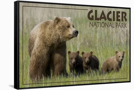 Glacier National Park - Grizzly Bear and Cubs-Lantern Press-Framed Stretched Canvas