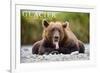 Glacier National Park - Grizzly Bear with Tongue Out-Lantern Press-Framed Premium Giclee Print