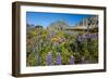 Glacier National Park, Montana. Alpine flower-Yitzi Kessock-Framed Photographic Print