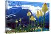 Glacier National Park, Montana - Beargrass in Bloom-Lantern Press-Stretched Canvas