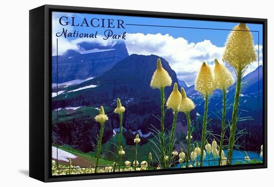 Glacier National Park, Montana - Beargrass in Bloom-Lantern Press-Framed Stretched Canvas