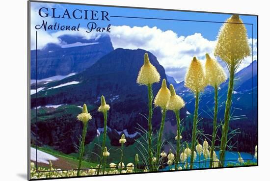 Glacier National Park, Montana - Beargrass in Bloom-Lantern Press-Mounted Art Print