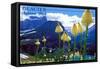 Glacier National Park, Montana - Beargrass in Bloom-Lantern Press-Framed Stretched Canvas